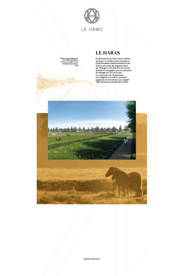 Le-Hamo-Logo-Refonte-SOLOGO-022