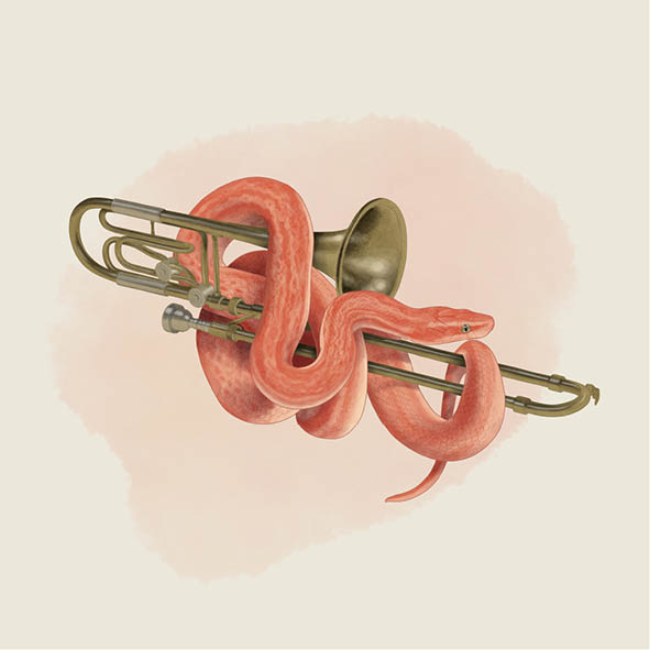 Real-SOLOGO-2025-LeBarillet-Illus-03