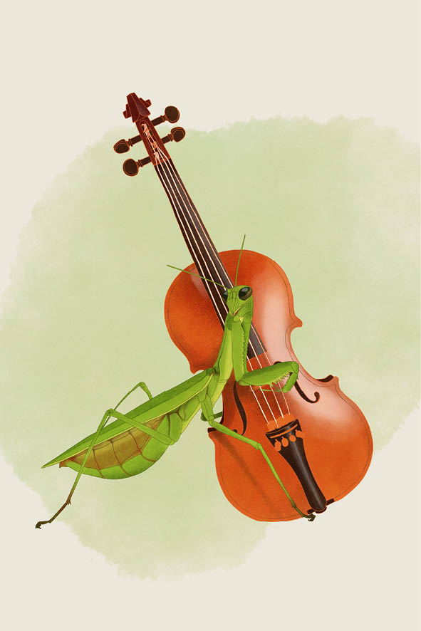 Real-SOLOGO-2025-LeBarillet-Illus-04