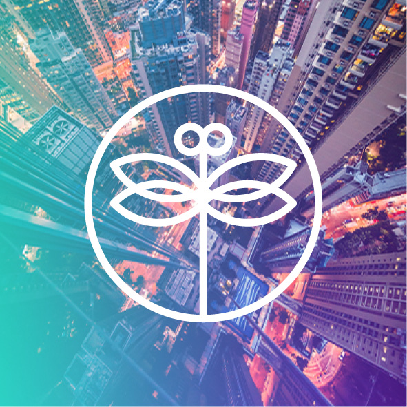 Real-SOLOGO-ISABO-2025-carre2