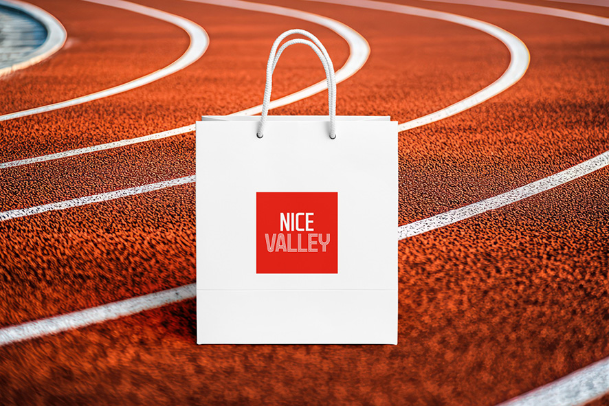 Real-SOLOGO-NICE-VALLEY-2025-horizontal2